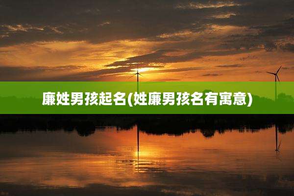 廉姓男孩起名(姓廉男孩名有寓意)