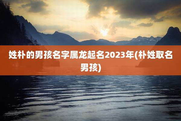 姓朴的男孩名字属龙起名2023年(朴姓取名男孩)