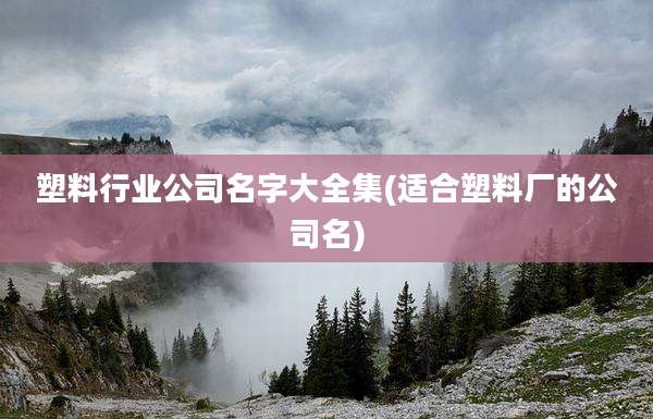 塑料行业公司名字大全集(适合塑料厂的公司名)