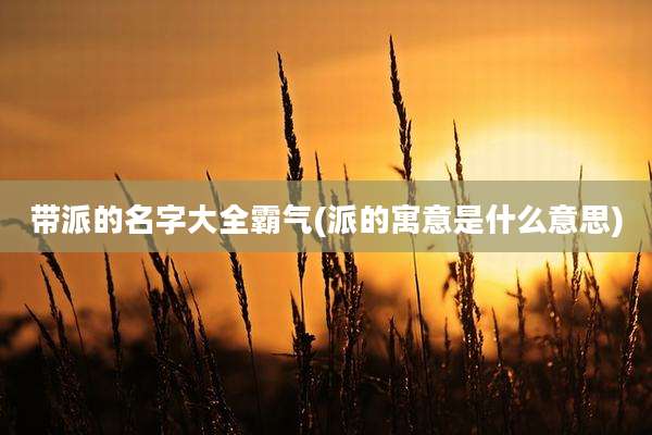 带派的名字大全霸气(派的寓意是什么意思)