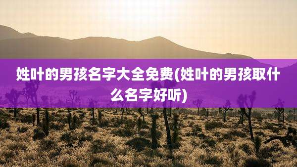 姓叶的男孩名字大全免费(姓叶的男孩取什么名字好听)