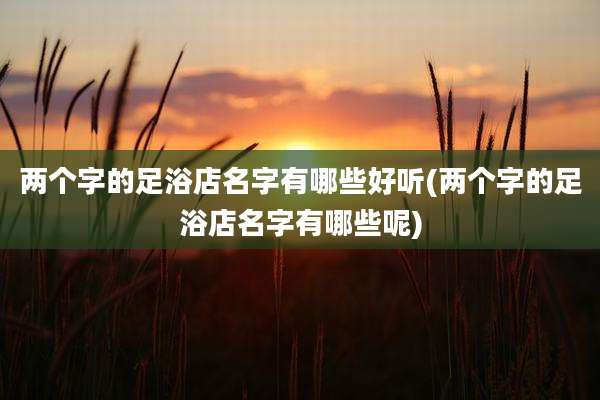 两个字的足浴店名字有哪些好听(两个字的足浴店名字有哪些呢)