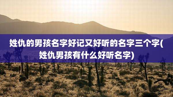 姓仇的男孩名字好记又好听的名字三个字(姓仇男孩有什么好听名字)