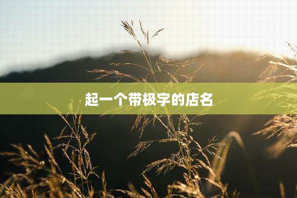 起一个带极字的店名