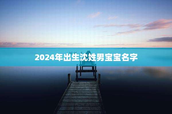 2024年出生沈姓男宝宝名字