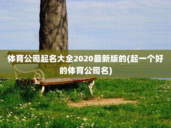 体育公司起名大全2020最新版的(起一个好的体育公司名)