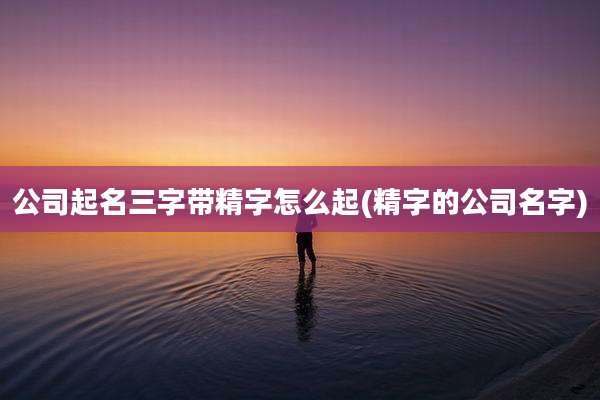 公司起名三字带精字怎么起(精字的公司名字)