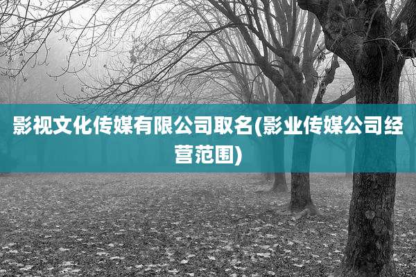 影视文化传媒有限公司取名(影业传媒公司经营范围)