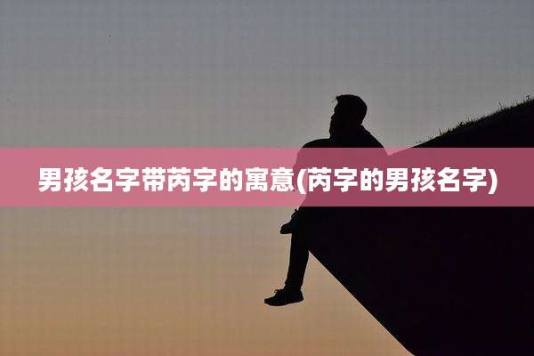 男孩名字带芮字的寓意(芮字的男孩名字)