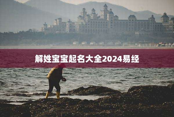 解姓宝宝起名大全2024易经