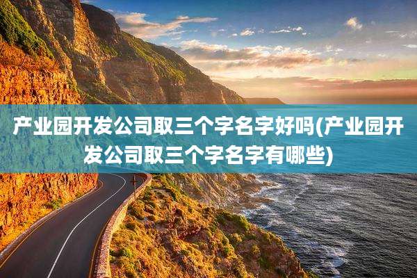 产业园开发公司取三个字名字好吗(产业园开发公司取三个字名字有哪些)