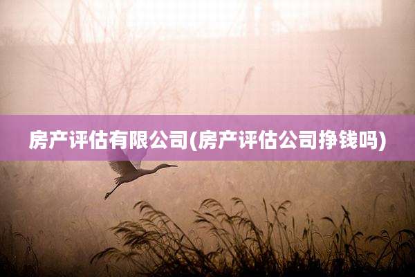 房产评估有限公司(房产评估公司挣钱吗)