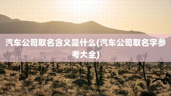 汽车公司取名含义是什么(汽车公司取名字参考大全)
