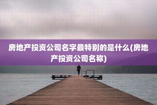 房地产投资公司名字最特别的是什么(房地产投资公司名称)