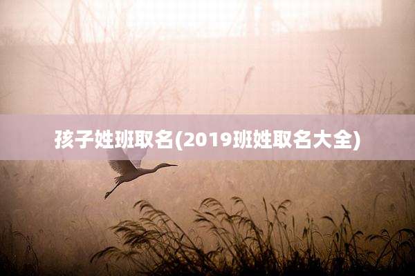 孩子姓班取名(2019班姓取名大全)