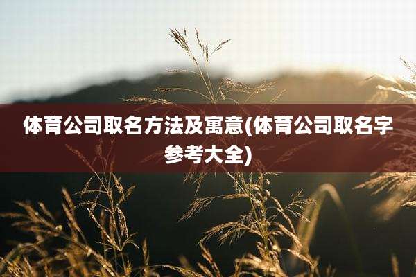 体育公司取名方法及寓意(体育公司取名字参考大全)