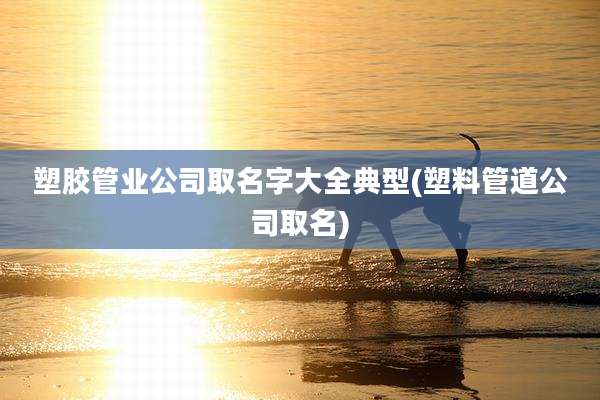 塑胶管业公司取名字大全典型(塑料管道公司取名)