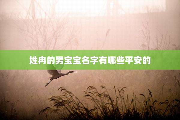 姓冉的男宝宝名字有哪些平安的