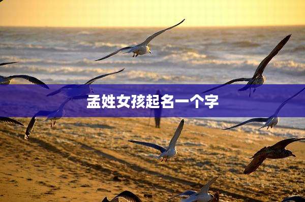 孟姓女孩起名一个字
