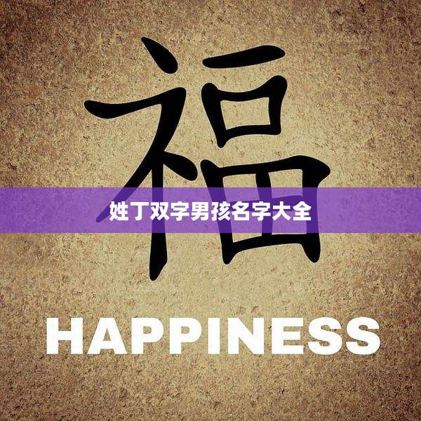 姓丁双字男孩名字大全