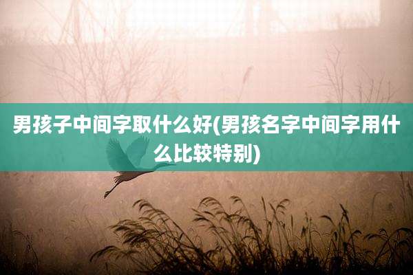 男孩子中间字取什么好(男孩名字中间字用什么比较特别)