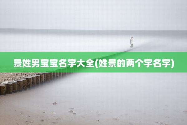 景姓男宝宝名字大全(姓景的两个字名字)