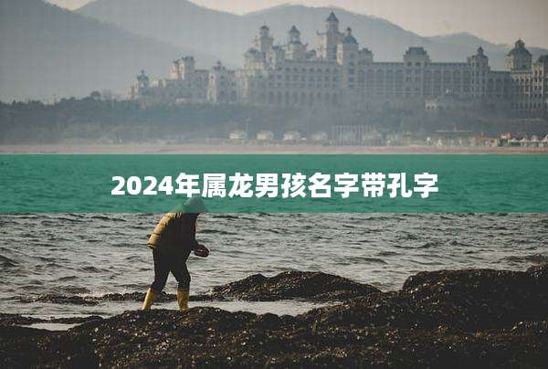 2024年属龙男孩名字带孔字