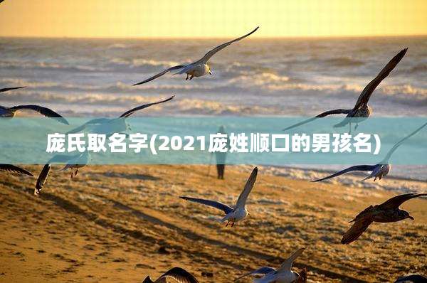 庞氏取名字(2021庞姓顺口的男孩名)