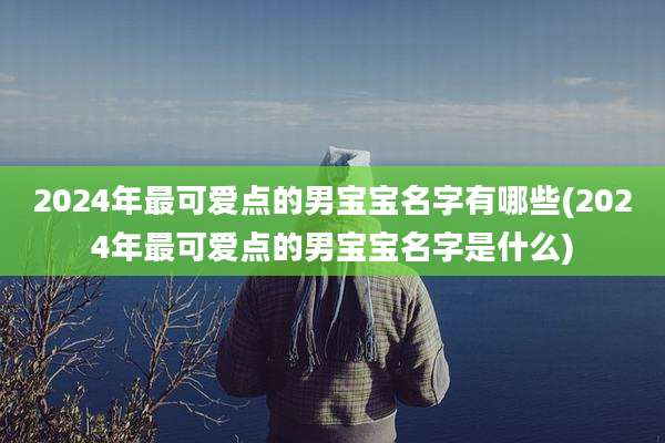 2024年最可爱点的男宝宝名字有哪些(2024年最可爱点的男宝宝名字是什么)