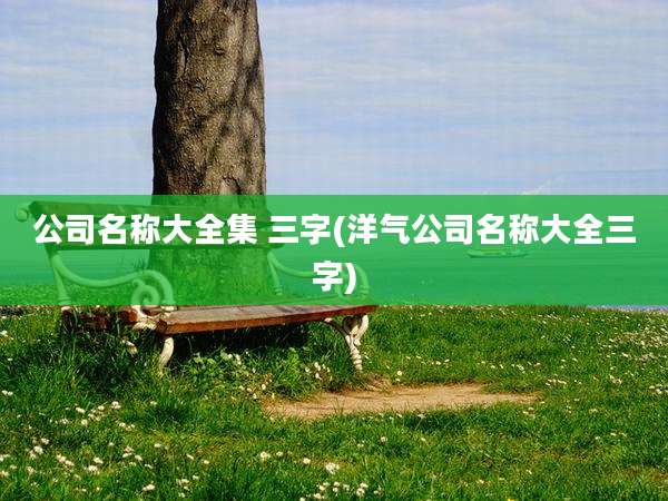 公司名称大全集 三字(洋气公司名称大全三字)