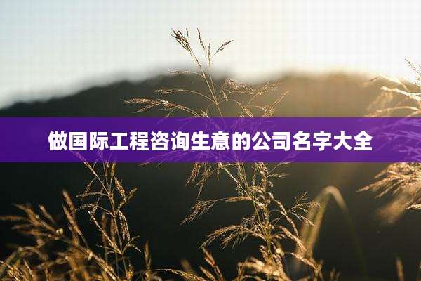 做国际工程咨询生意的公司名字大全
