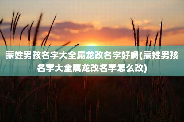 蒙姓男孩名字大全属龙改名字好吗(蒙姓男孩名字大全属龙改名字怎么改)