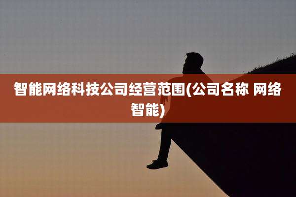 智能网络科技公司经营范围(公司名称 网络智能)