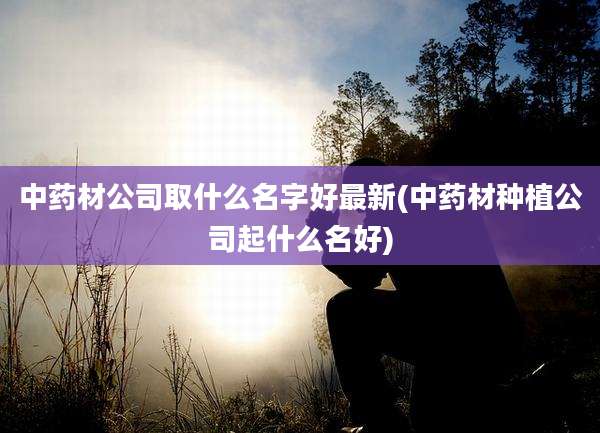 中药材公司取什么名字好最新(中药材种植公司起什么名好)
