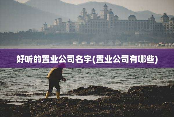 好听的置业公司名字(置业公司有哪些)