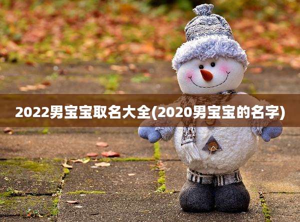 2022男宝宝取名大全(2020男宝宝的名字)