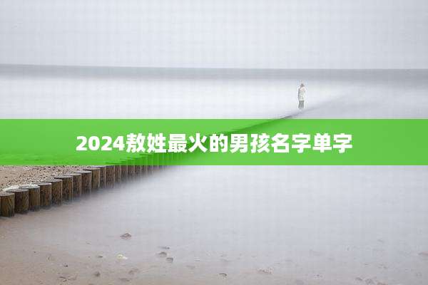 2024敖姓最火的男孩名字单字