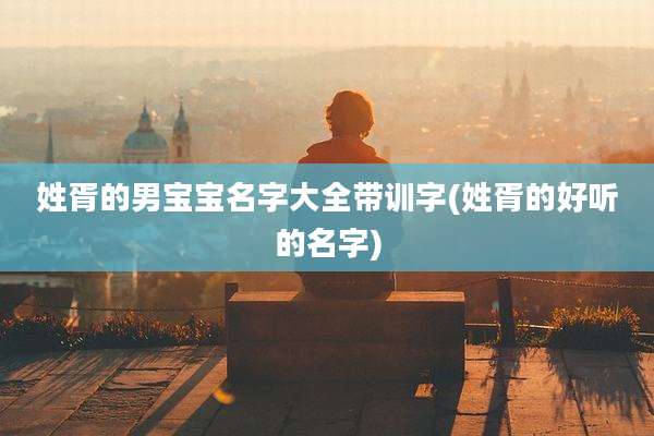 姓胥的男宝宝名字大全带训字(姓胥的好听的名字)
