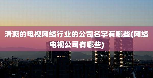 清爽的电视网络行业的公司名字有哪些(网络电视公司有哪些)