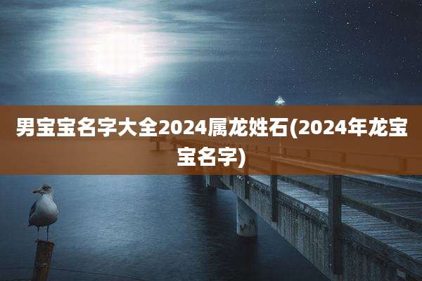 男宝宝名字大全2024属龙姓石(2024年龙宝宝名字)
