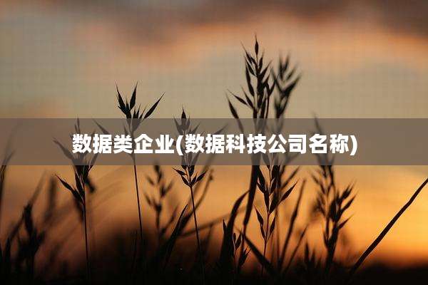 数据类企业(数据科技公司名称)