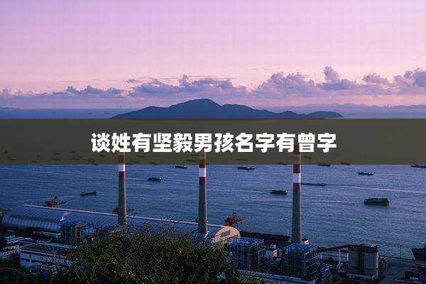 谈姓有坚毅男孩名字有曾字