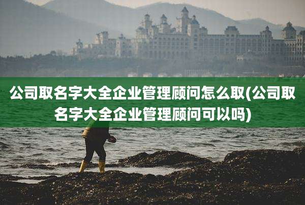 公司取名字大全企业管理顾问怎么取(公司取名字大全企业管理顾问可以吗)