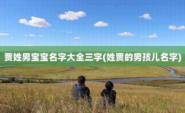 贾姓男宝宝名字大全三字(姓贾的男孩儿名字)