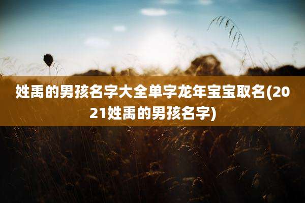 姓禹的男孩名字大全单字龙年宝宝取名(2021姓禹的男孩名字)