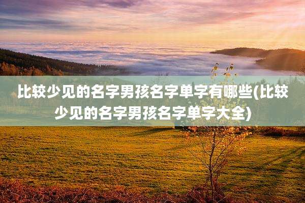 比较少见的名字男孩名字单字有哪些(比较少见的名字男孩名字单字大全)