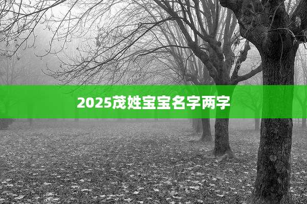 2025茂姓宝宝名字两字
