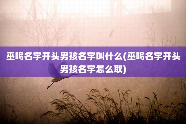 巫鸣名字开头男孩名字叫什么(巫鸣名字开头男孩名字怎么取)