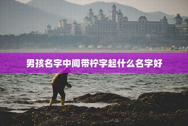 男孩名字中间带柠字起什么名字好