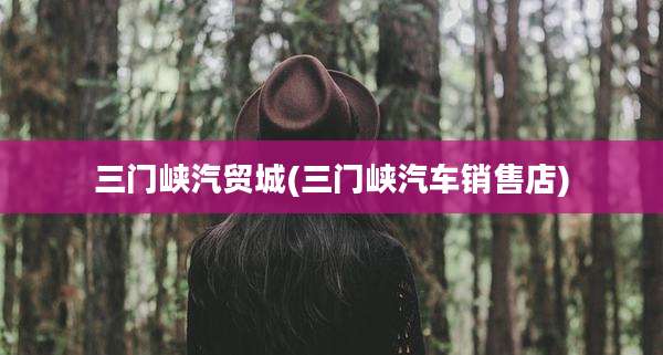 三门峡汽贸城(三门峡汽车销售店)